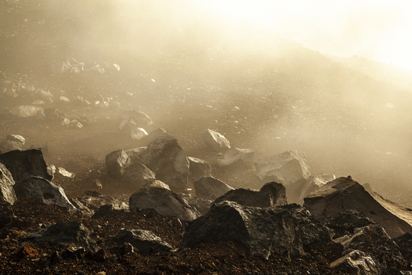 DELIGHT_1_sayakatakasaki