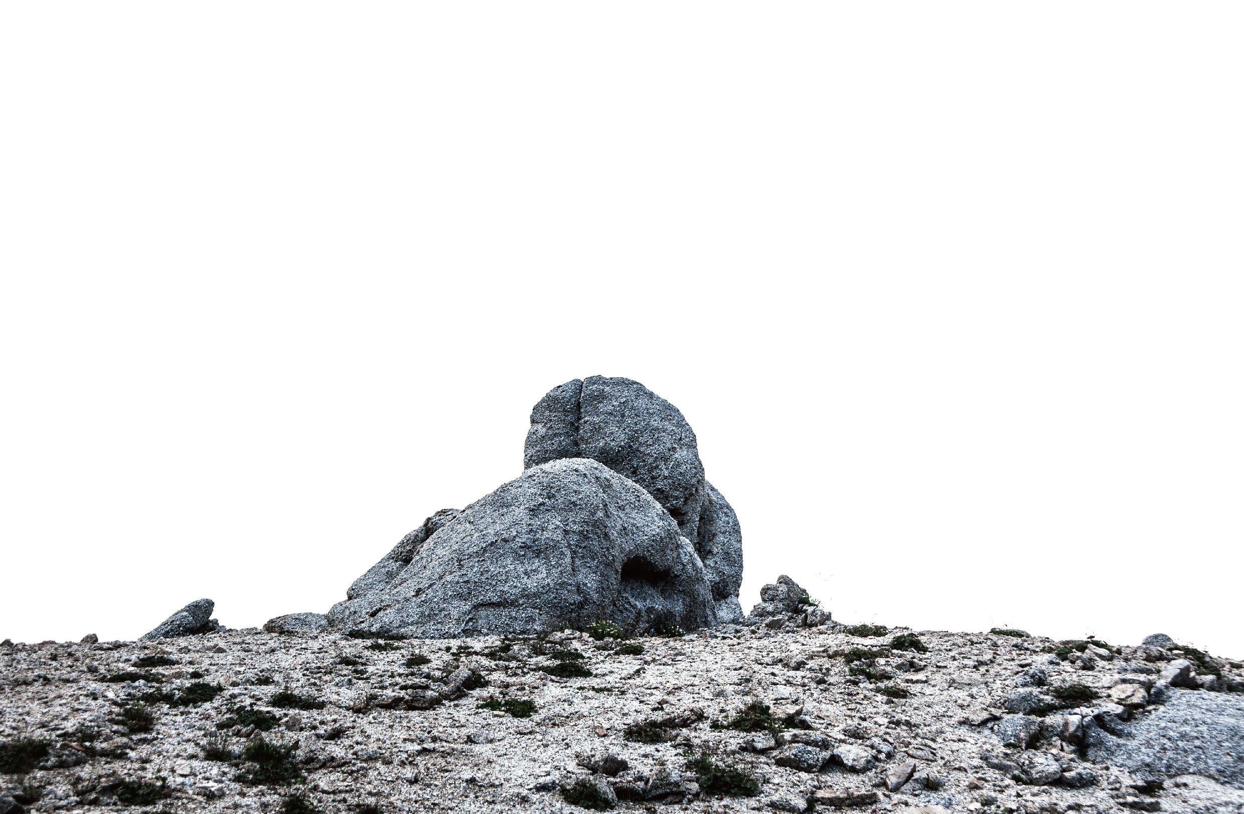 sayakatakasakiexibition