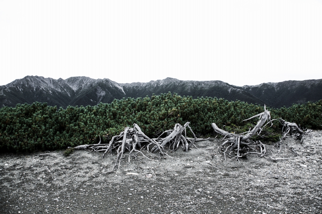 to the ocean of silence_14